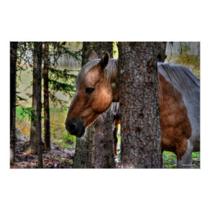 Poster Palomino Peinture Stallion & Forêt Equine Photo