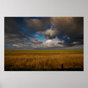 Poster Pampas