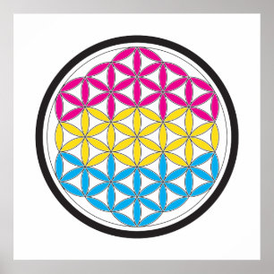 Poster pan sacred geometry