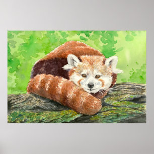 Poster Panda rouge