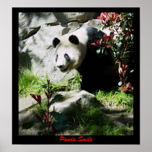 Poster Panda Smile