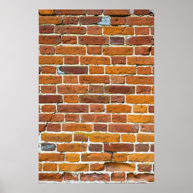 Poster Panier (Devant)