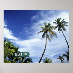 Poster Panneau de route Ocean Drive, South Beach, Miami, 