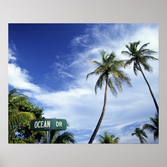 Poster Panneau de route Ocean Drive, South Beach, Miami,  (Devant)