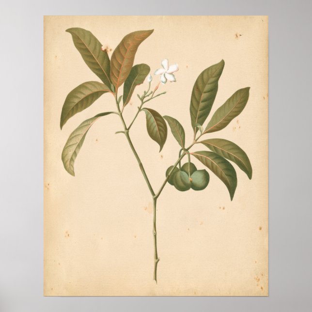 Poster Panneau Décor Cobalt I (Devant)