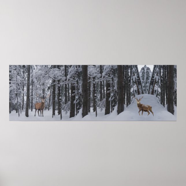 Poster Panorama (Devant)