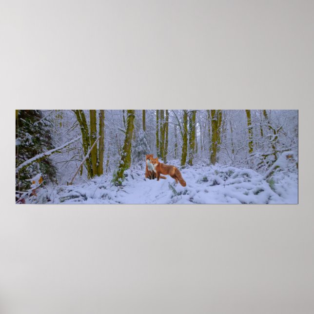 Poster Panorama (Devant)