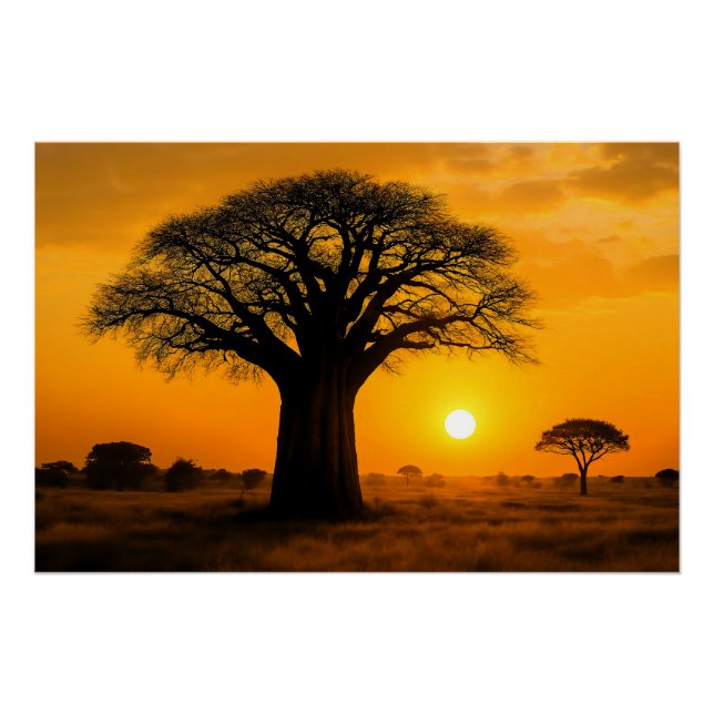 Poster Panorama à l'heure d'or sur l'arbre baobab (Devant)
