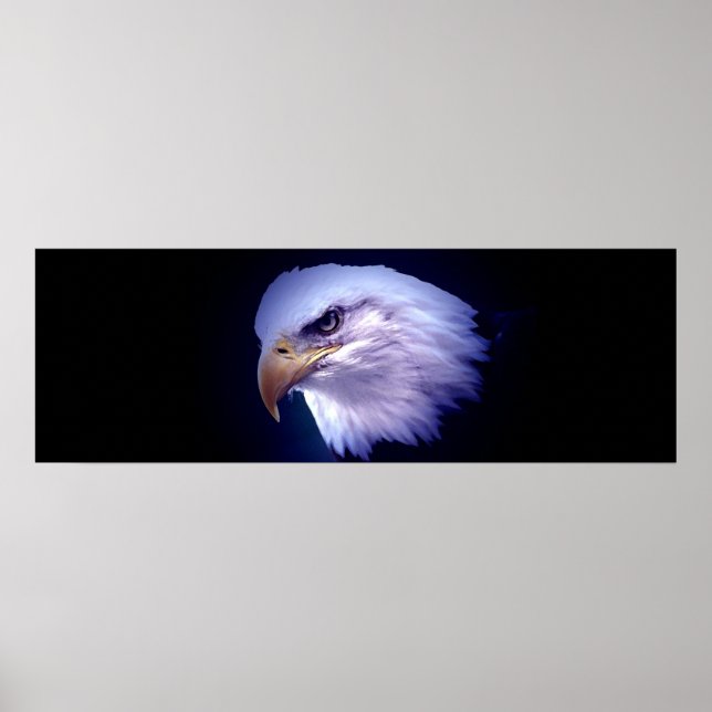 Poster Panoramique American Bald Eagle Imprimer (Devant)