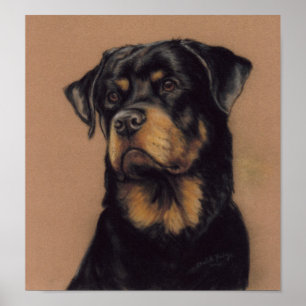Poster Papier d'art de chien Rottweiler