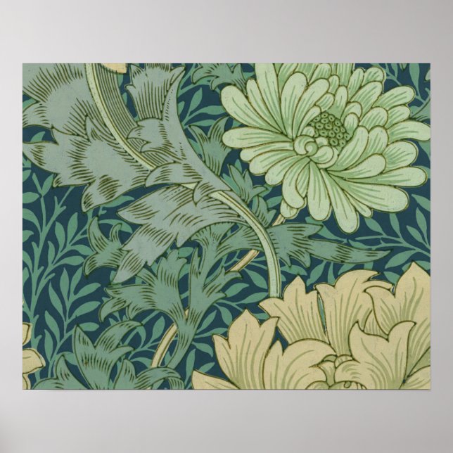 Poster Papier peint Motif échantillon avec Chrysanthemum (Devant)