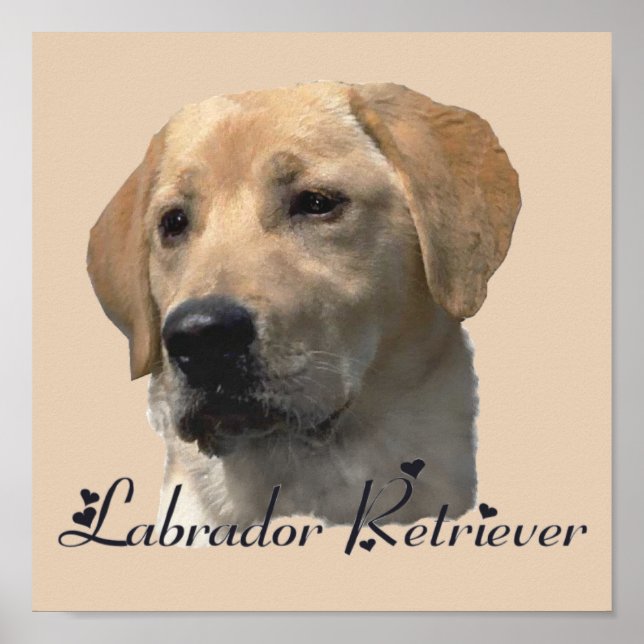Poster Papiers d'art Labrador Retriever (Devant)