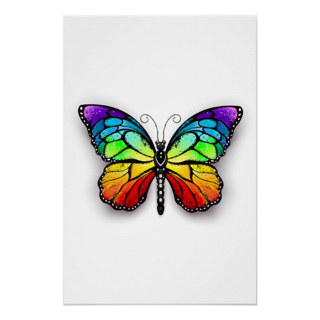Poster Papillon arc-en-ciel monarque (Devant)