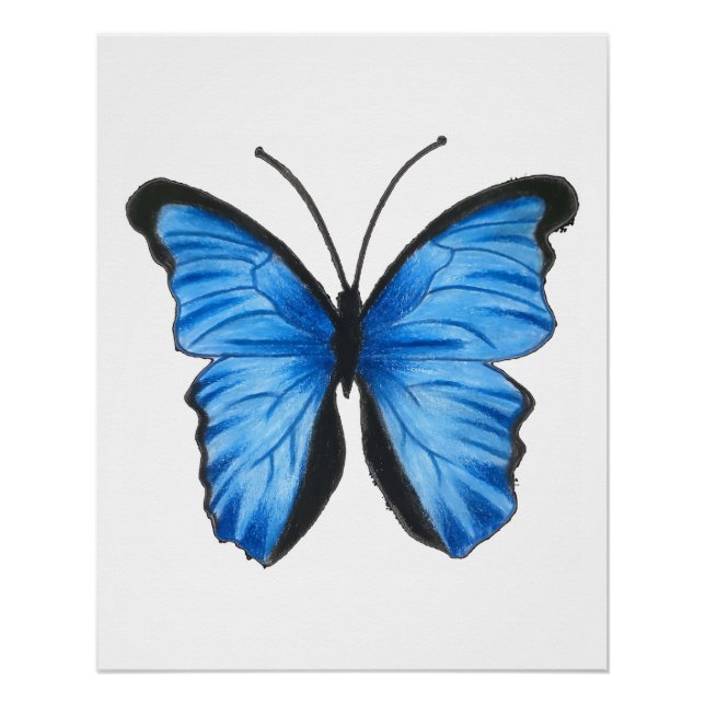 Poster Papillon bleu (Devant)