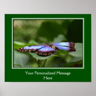 Poster Papillon bleu Créez votre propre devis