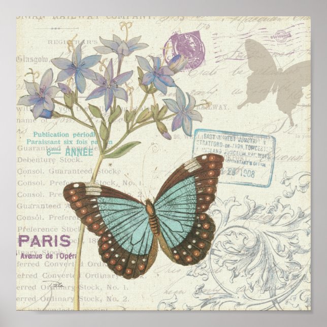 Poster Papillon bleu et Brown (Devant)