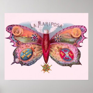 Poster Papillon Cigar Peinture Antique