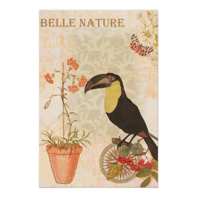 Poster Papillon de fleurs rose d'oiseaux Vintages (Devant)