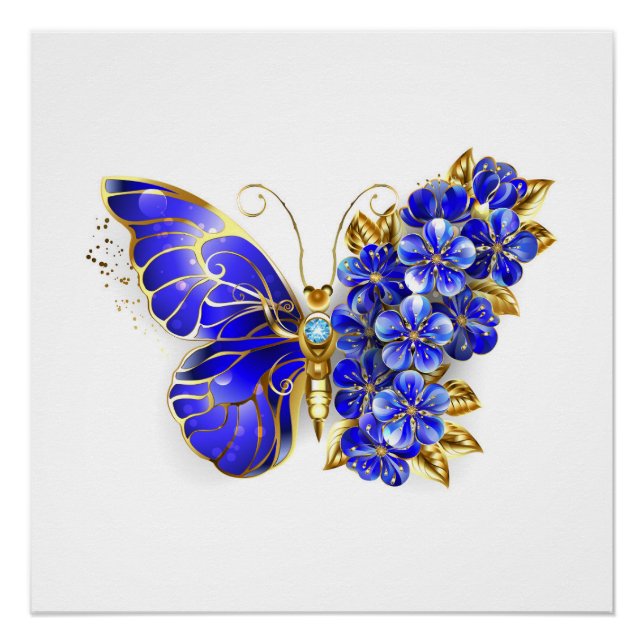 Poster Papillon de saphir de fleur (Devant)