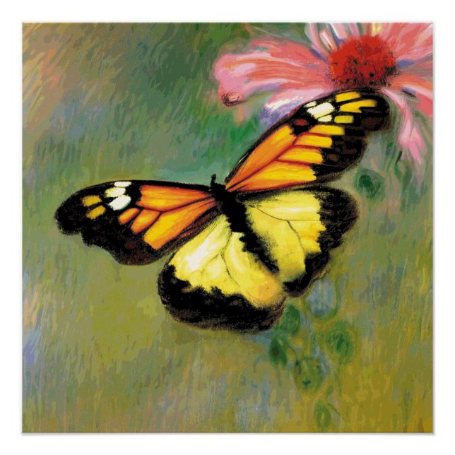 Poster Papillon d'été du printemps - (Devant)