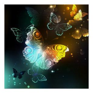 Poster Papillon lumineux et papillons de nuit