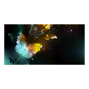 Poster Papillon lumineux et papillons de nuit