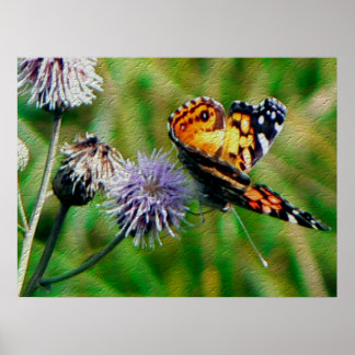 Poster Papillon monarque