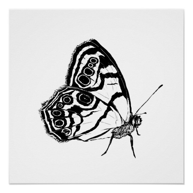 Poster Papillon monochrome (Devant)