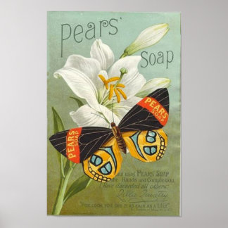 Poster Papillon Sopa Pears