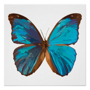 Poster Papillon Tropical Blue et Turquoise Gem