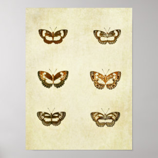 Poster Papillon vintage 327