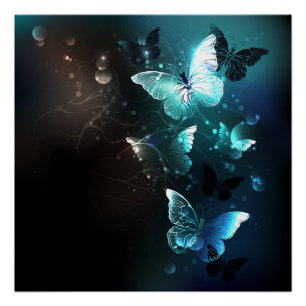 Poster Papillons de nuit