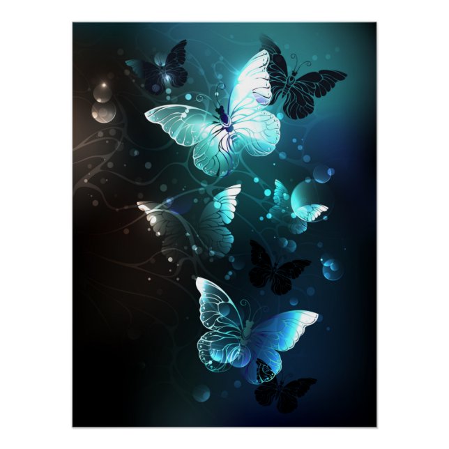 Poster Papillons de nuit (Devant)