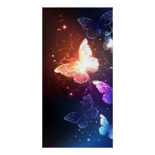 Poster Papillons de nuit lumineux