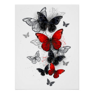 Poster Papillons noirs et rouges volants