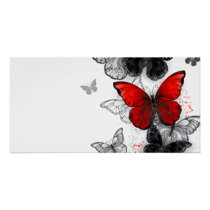 Poster Papillons noirs et rouges volants