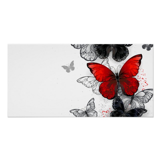 Poster Papillons noirs et rouges volants (Devant)