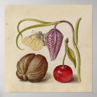 Papillons noix Fleur Cerisier Aquarelle Art