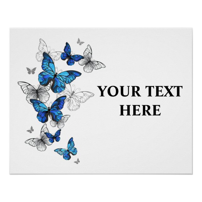 Poster Papillons volants bleus Morpho (Devant)