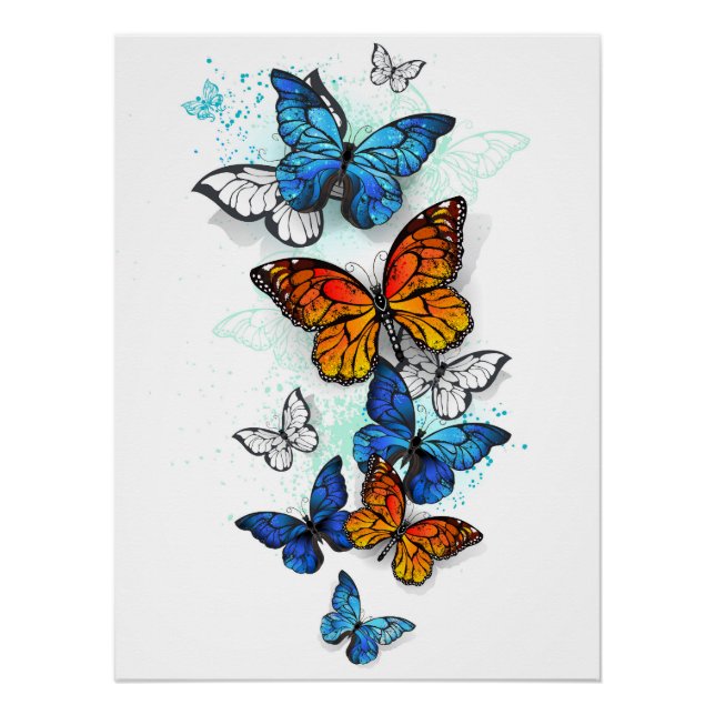 Poster Papillons volants Morpho et Monarch (Devant)