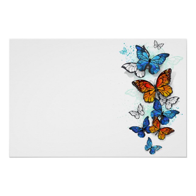 Poster Papillons volants Morpho et Monarch (Devant)