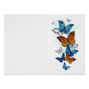 Poster Papillons volants Morpho et Monarch