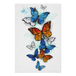 Poster Papillons volants Morpho et Monarch