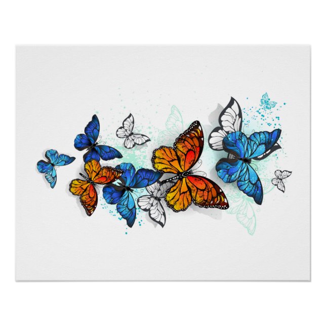 Poster Papillons volants Morpho et Monarch (Devant)