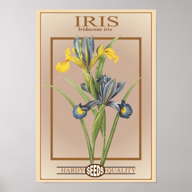 Poster paquet de semences iris (Devant)