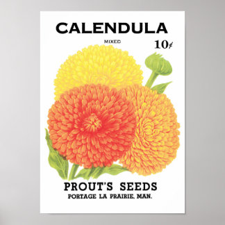 Poster Paquet de semences vintage Art Étiquette, Fleurs d