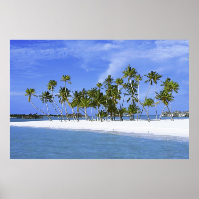 Poster paradis balnéaire avec l'affiche hammock_Maldives (Devant)