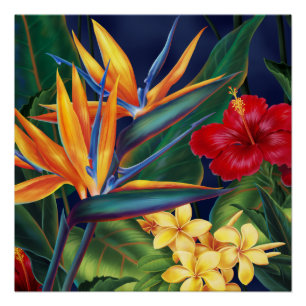 Poster Paradis tropical Floral hawaïen