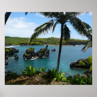 Poster Paradise Beach - Maui, Hawaii