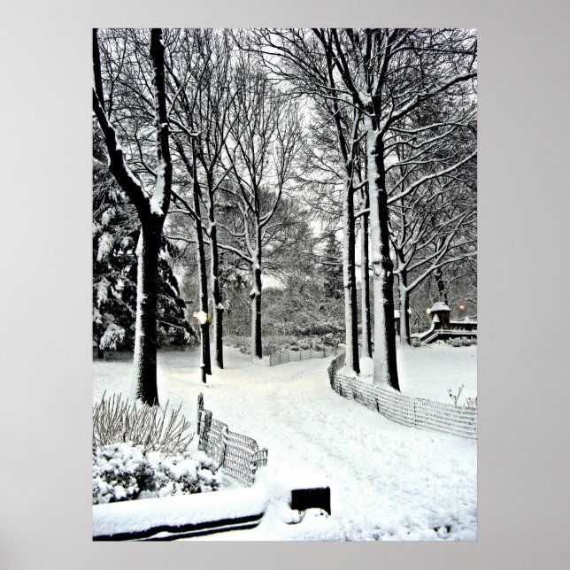 Poster Parc central 2010 Neige - CIMG6446 (Devant)